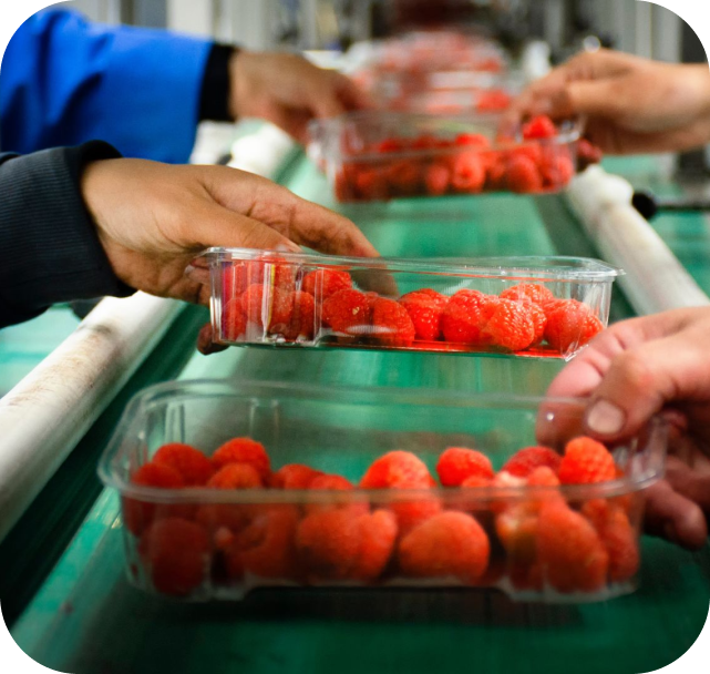 Proceso de codificación en cadena de producción con equipos de alta tecnología de Ecuatech Service, especialistas en distribución e instalación de codificadores y suministros industriales en Ecuador.